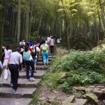 宜興竹海一日游